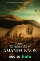 Запутанная история Аманды Нокс смотреть онлайн сериал 1 сезон